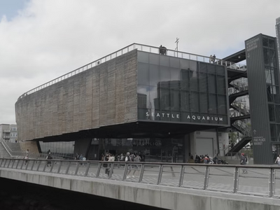 Richlite’s Role in the Seattle Aquarium’s Sustainable Transformation