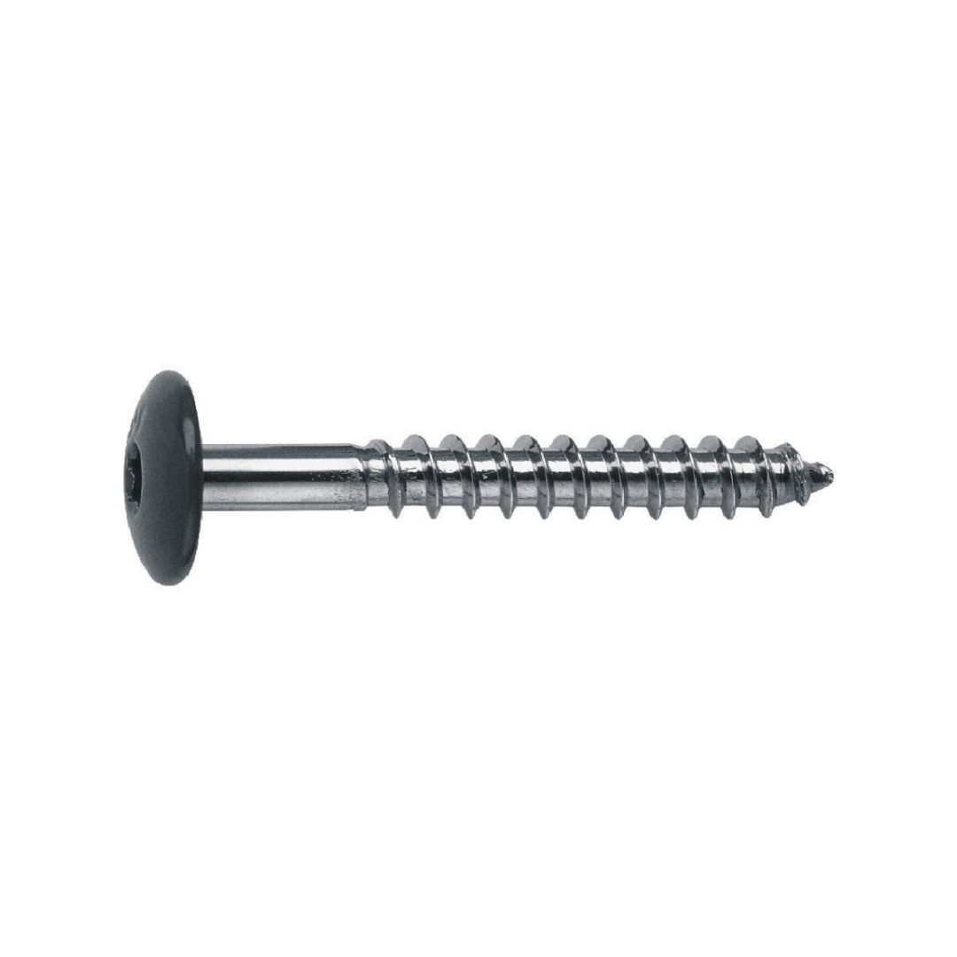#10 Facade Panel to Wood Screw, Dome Head, 304 Full Stainless image 0